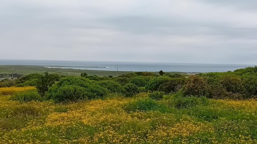 0 Bedroom Property for Sale in Hoogland Western Cape